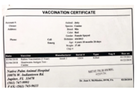 Rabies vaccination proof example